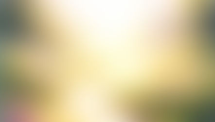 脳の自動モードを解除して心の方向へ 今月の一斉遠隔ヒーリングのお誘い