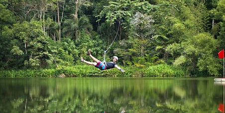 Tree Top Adventure Park