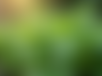 The Value of Locally Sourced Ingredients