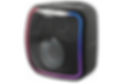 SONY SRS-XB501G