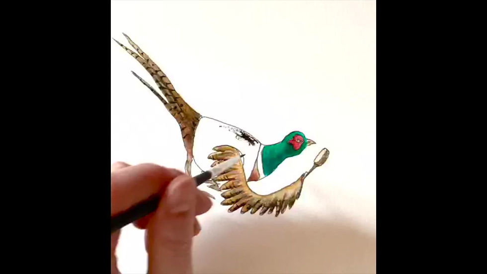 Thumbnail: The Educated Pheasant - HARDBACK