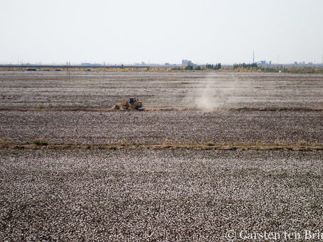 Clothing brands allegedly complicit in forced labour in Xinjiang