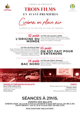 Cinéma en plein air :  "L'origine du monde", "On est fait pour s'entendre" et "Bac Nord".