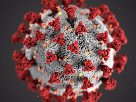 Pandemia y cuarentena. Una mirada filosófica.