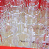 SFZ Prümer Land - Laboreinrichtung und Ausstattung Forschungszentrum (51).jpg