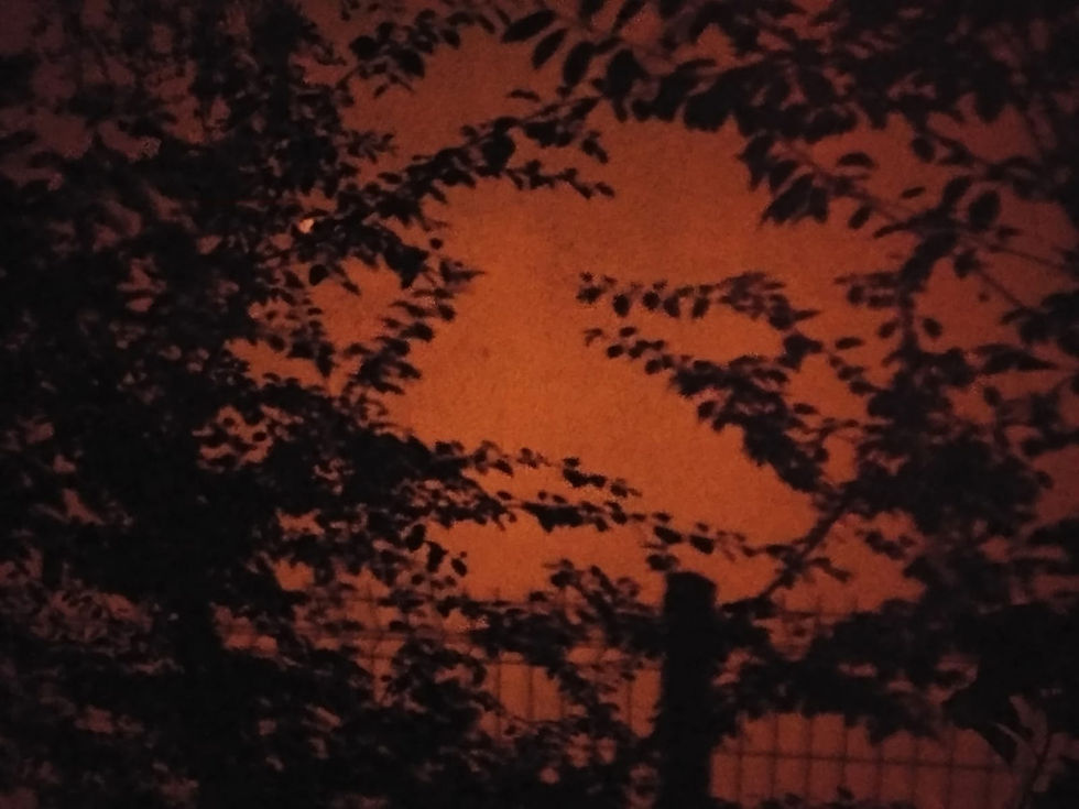 Sema Kahraman Vurucu