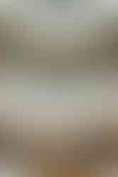 Couple kisses on an upper floor of a courthouse, with art and "Clerk of the Court" signs visible. Elegant architecture and a romantic mood.