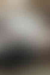 friends and family sit and watch a bride and groom's courthouse wedding ceremony.