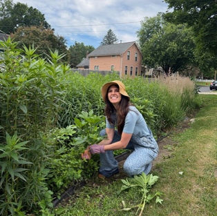 SSMN is Adopting Rain Gardens – You Can Too!
