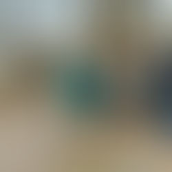 Birds, Binoculars & a Brave Crowd: A Chilly Morning at Long Lake