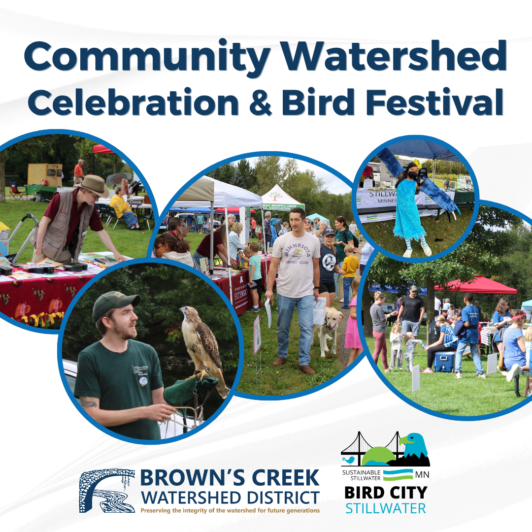 Community Watershed Celebration & Bird Festival 2026