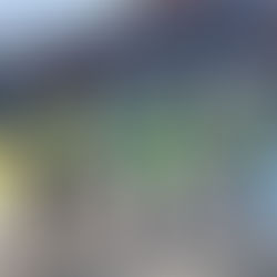 Earth Day Trash Dash 2026 Recap