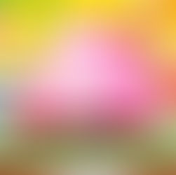 《潮遊褔岡》日本大便博物館 · 竟然有點可愛