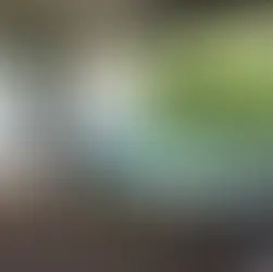 《潮遊箱根》 溫泉之鄉度假勝地 · 置身大自然嘅溫泉酒店