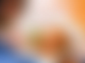 《潮遊德島》飲食篇—特色阿波尾雞餐廳