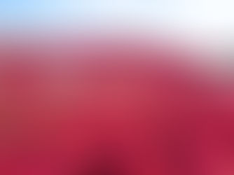 《潮遊茨城》超靚粉紅色波波草 · 外型可愛 · 新鮮生白飯魚丼