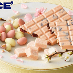 《潮遊日本》Royce櫻花季新作 • 夢幻口味朱古力