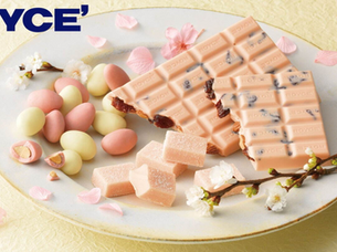 《潮遊日本》Royce櫻花季新作 • 夢幻口味朱古力