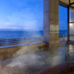 《潮遊千葉》時令士多啤梨採摘體驗方案 · 住宿眺望富士山