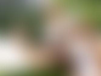 "Grávidos! Bruna Biancardi e Neymar esperam o segundo filho e revelam o sexo"