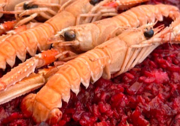 Experiencias culinarias