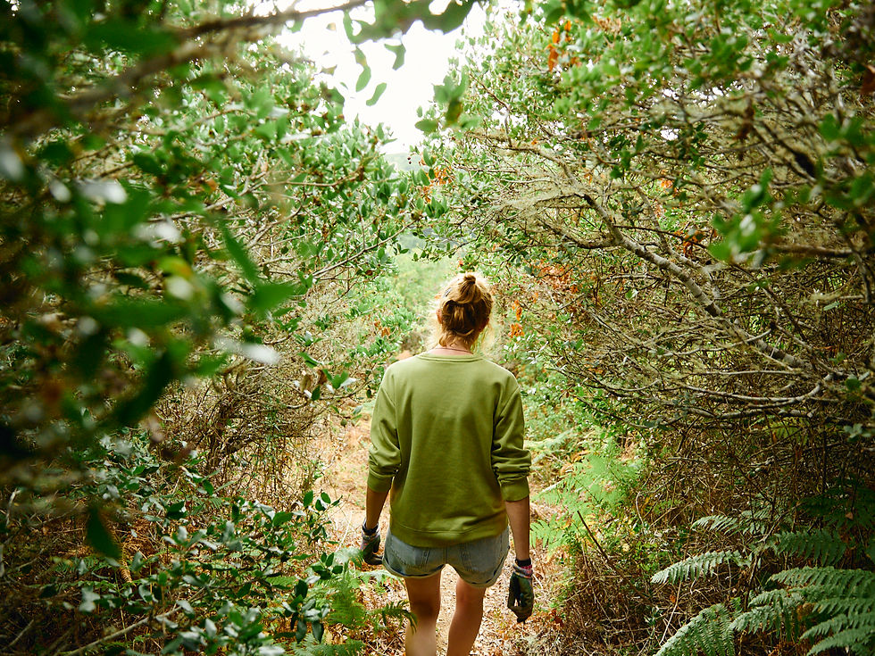 Student walking through the Forest Garden with working gloves on