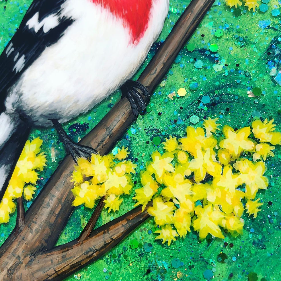 Thumbnail: Rose-breasted Grosbeak