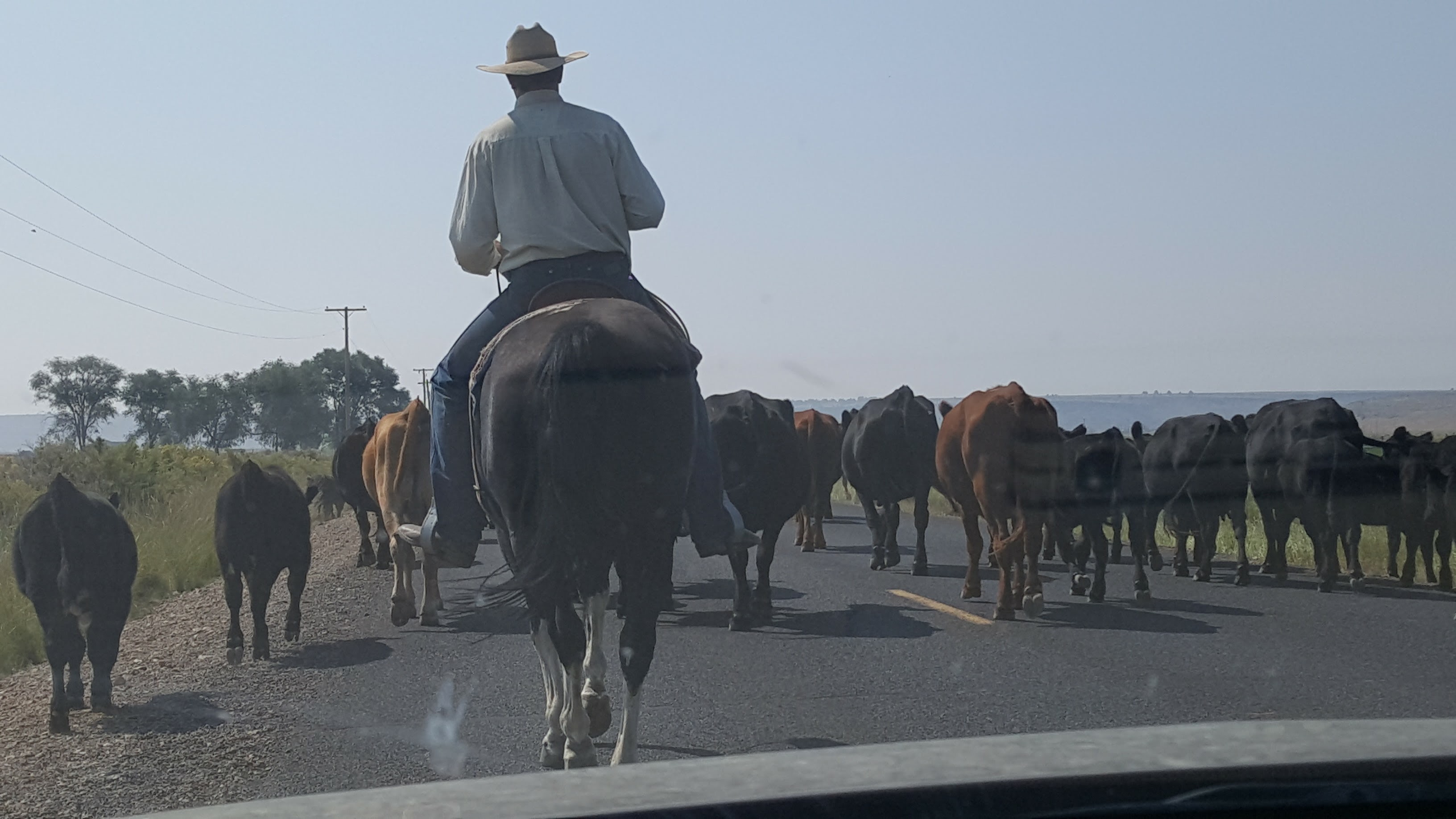 Wild West