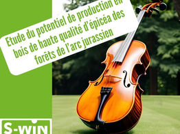 Etude du potentiel de production en bois de haute qualité d’épicéa des forêts de l’arc jurassien