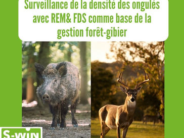 Surveillance de la densité des ongulés avec REM& FDS comme base de la gestion forêt-gibier
