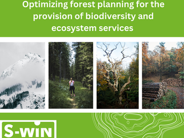 Optimizing forest planning for the provision of biodiversity and ecosystem services