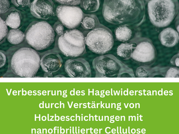 Verbesserung des Hagelwiderstandes von Holzbeschichtungen durch eine Verstärkung mit nanofibrilliert