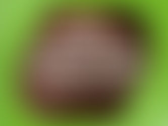 Fibre-reinforced polymers in timber structures