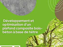 Développement et optimisation d'un plancher composite bois-béton avec du hêtre