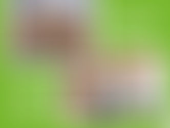 Determination of shear stiffness and shear strength of beams, esp. hardwood glulam