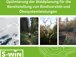 Optimierung der Waldplanung für die Bereitstellung von Biodiversität und Ökosystemleistungen