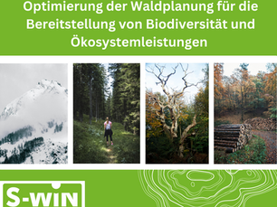 Optimierung der Waldplanung für die Bereitstellung von Biodiversität und Ökosystemleistungen