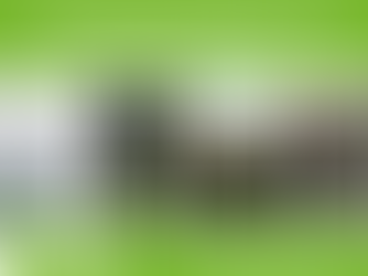 Optimierung der Waldplanung für die Bereitstellung von Biodiversität und Ökosystemleistungen