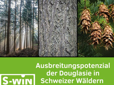 Ausbreitungspotenzial der Douglasie in Schweizer Wäldern