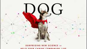 The cover of the Forever Dog