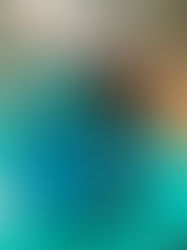 Canine Enrichment activities can make your dog’s life more full-filling.