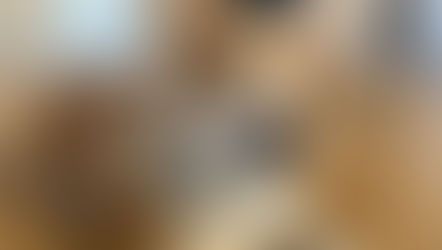 Corgi in a down stay infront of the fire place