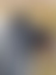 Aggressive Behavior in Dogs: A Comprehensive Guide to create a training plan.