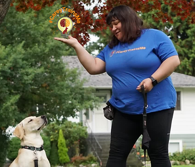 Carey Bolduc of #CareyTrainsMe asking a yellow lab to sit at local park