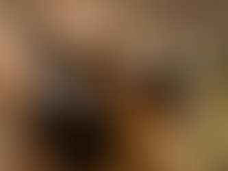 Two dogs barking at the fence.