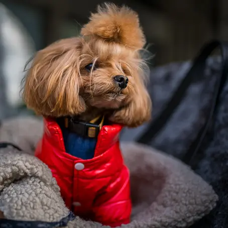 Leica-Blog über den Fotografen Andreas Pretali und das Leica Noctilux-M 35mm f/1.2