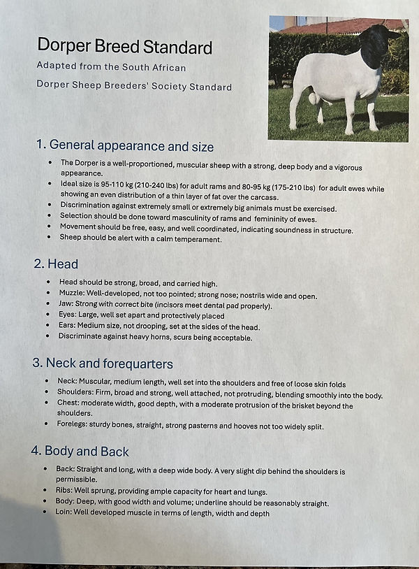 page 1 standards english.jpg