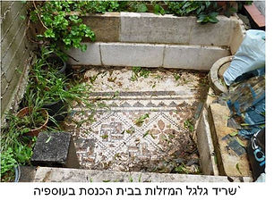 תמונה13.jpg