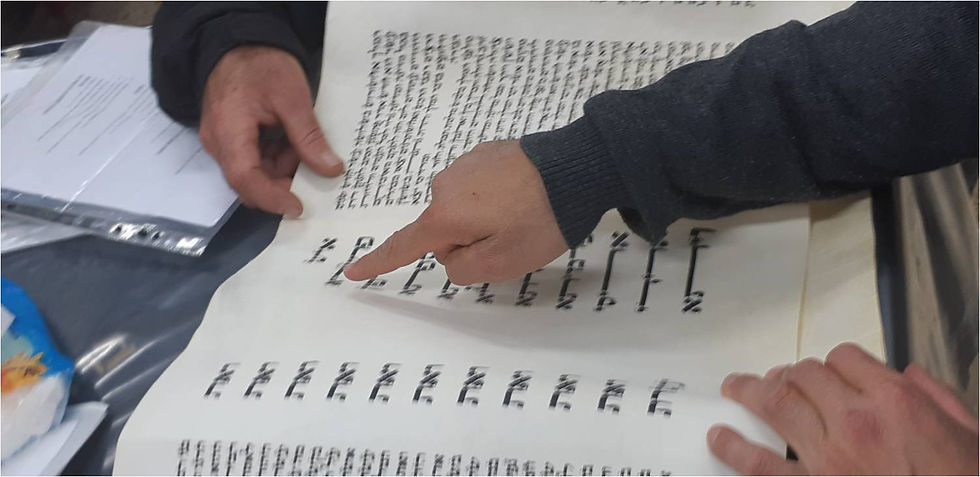 תמונה42