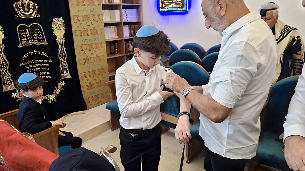 b86e0dad-7593-478b-83e4-e48617d1b6d5